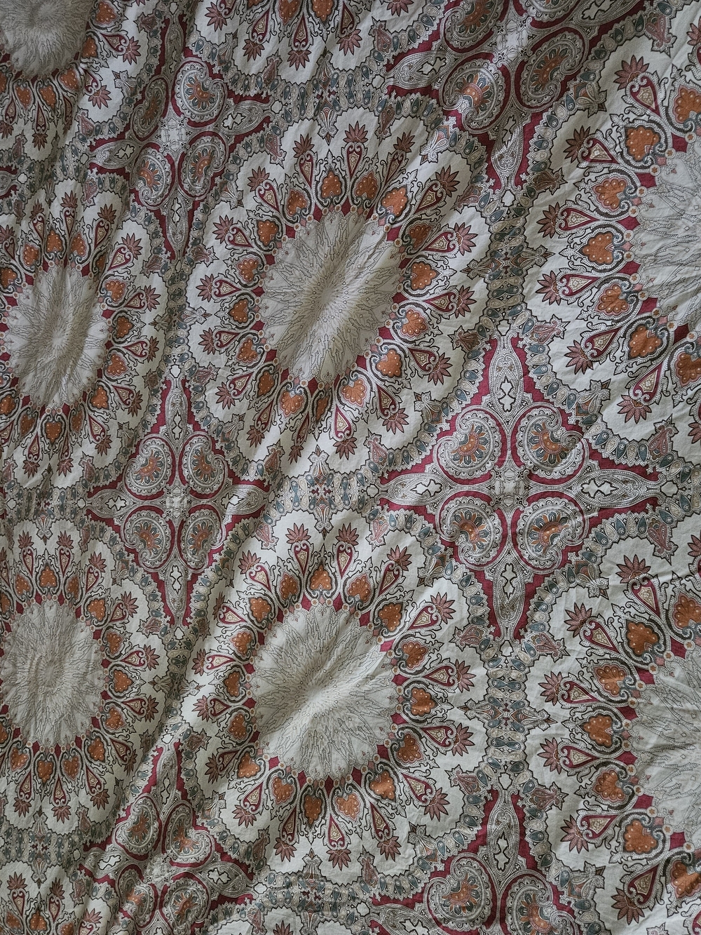 Pottery Barn Paisley Medallion Duvet Cover in with Euro Sham